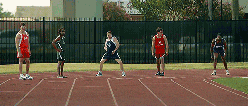 DimGracefulDunlin-small